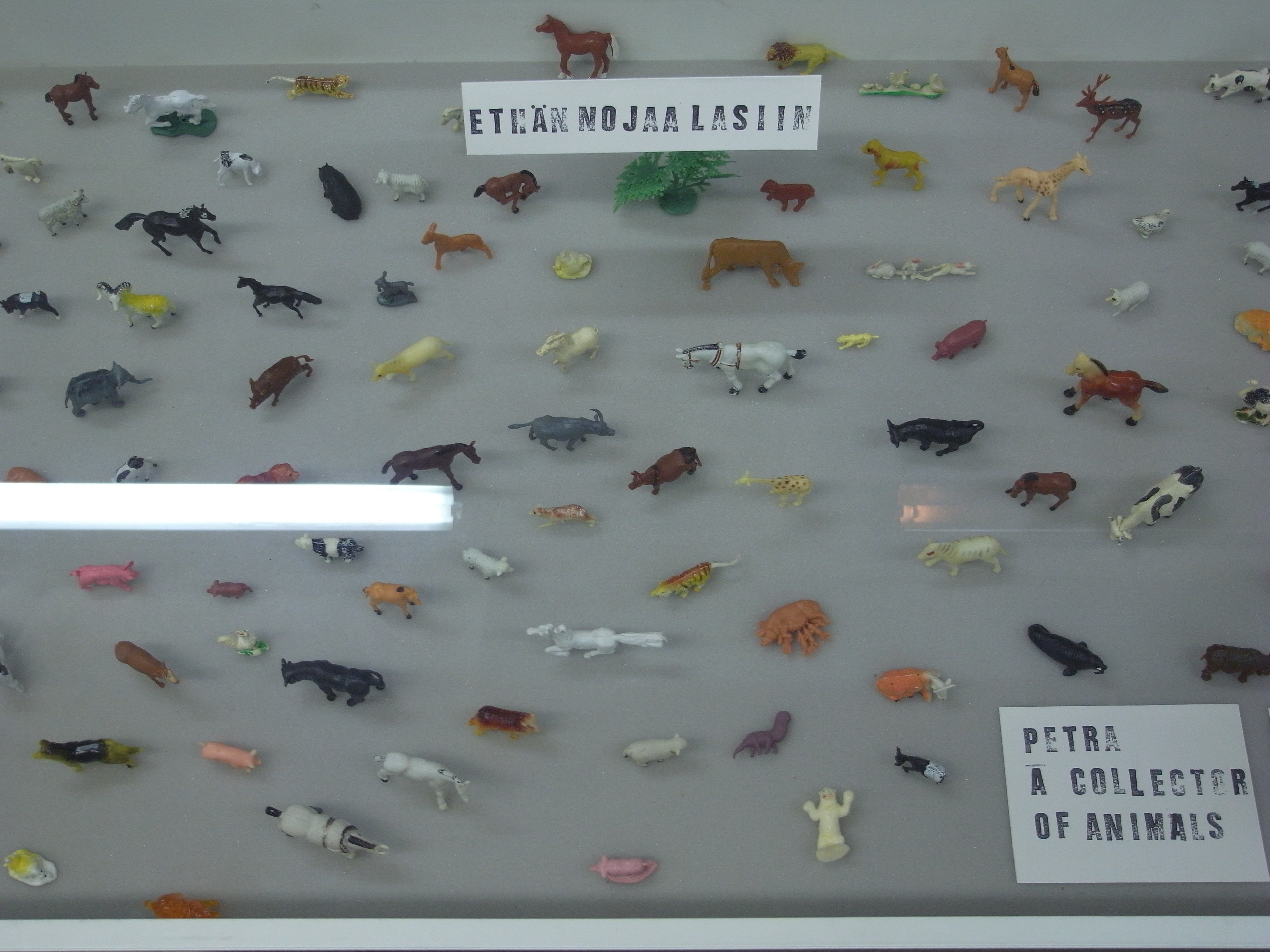 Exhibition #2, Petra's collection of plastic animals
